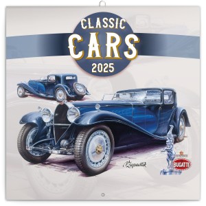 Lemeznaptr Classic Cars ? Vclav Zapadlk 2024, 30  30 cm (naptr)